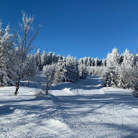 Aktiv-Ferienwohnung "Snow & Bike"- Zentral Zwischen Winterberg Und Willingen Eksteriør billede