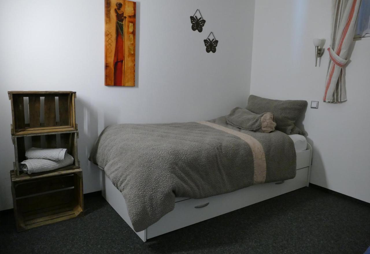 Aktiv-Ferienwohnung "Snow & Bike"- Zentral Zwischen Winterberg Und Willingen Eksteriør billede