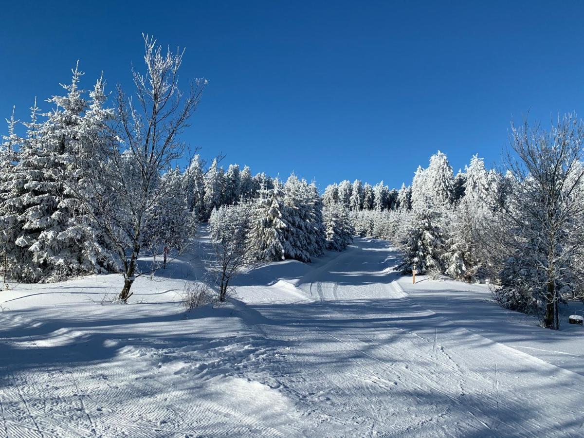 Aktiv-Ferienwohnung "Snow & Bike"- Zentral Zwischen Winterberg Und Willingen Eksteriør billede