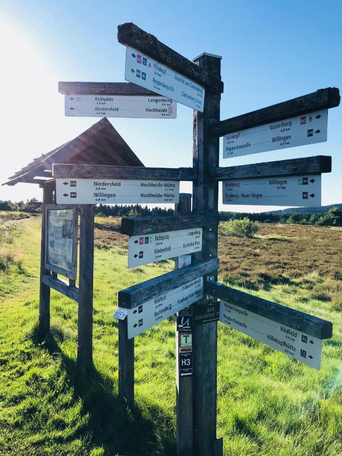 Aktiv-Ferienwohnung "Snow & Bike"- Zentral Zwischen Winterberg Und Willingen Eksteriør billede