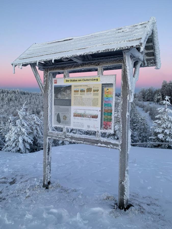 Aktiv-Ferienwohnung "Snow & Bike"- Zentral Zwischen Winterberg Und Willingen Eksteriør billede