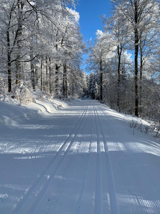 Aktiv-Ferienwohnung "Snow & Bike"- Zentral Zwischen Winterberg Und Willingen Eksteriør billede